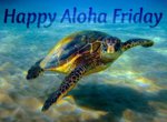 Turtle Aloha Friday.jpg