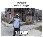 Things to do in Chicago.png