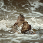 praxis5173_pitbull_rescuing_small_boy_from_drowning_in_big_wave_da7b6678-f384-435b-9709-85bc39...png