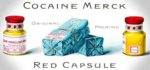 Image result for Merck cocaine