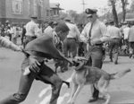 EXCLUSIVE: Civil rights protesters arrested in 1960s Birmingham will thank  FDNY for fighting fire-hose, dog attacks - New York Daily News