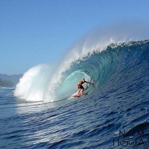 Slotted at the Pipeline