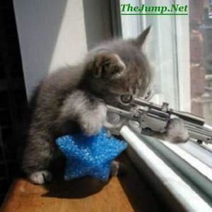Kitty_with_Rifle_II