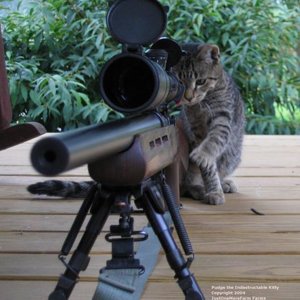 Kitty_with_a_sniper_II