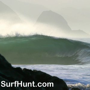 www.SurfHunt.Com