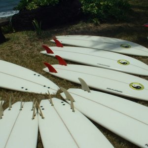 sunset_point_boards_fins_062