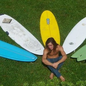 The Quiver... Terry Fitzgerald style