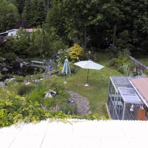 Roof_View_Of_Pond