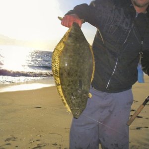 the_angry_halibut
