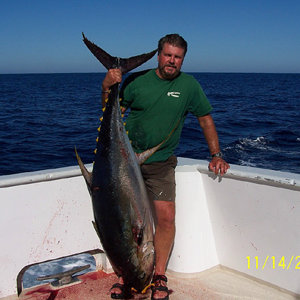 Big Fuggin Tuna