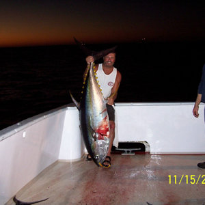 Big Fuggin Tuna