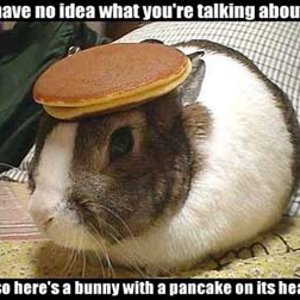 pancake_bunny