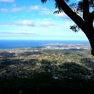 Wollongong View