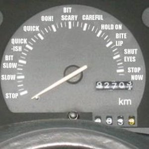 Womans_speedometer