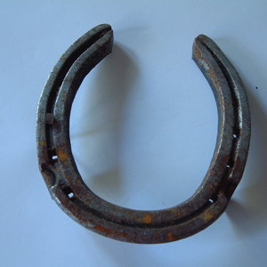 horseshoe_11