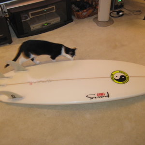 surfboard_001