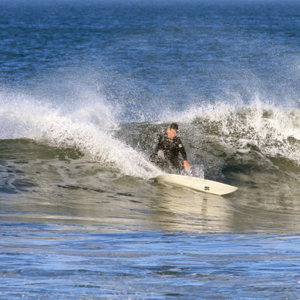 Surfjunkie