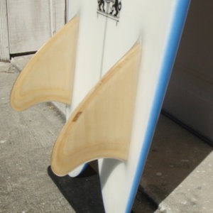5'6" mabile dt fish
