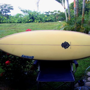 Bulkley surfboard Personal quad CR