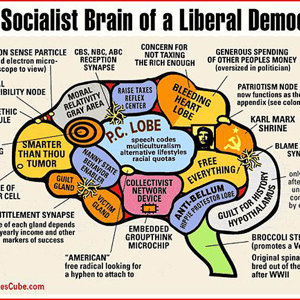 liberal_brain1