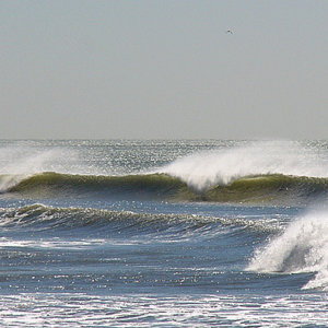 Offshore come to HB 11-01-2004