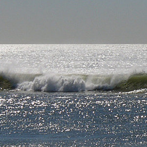 Offshore come to HB 11-01-2004