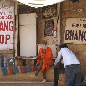 get-your-bhang-here