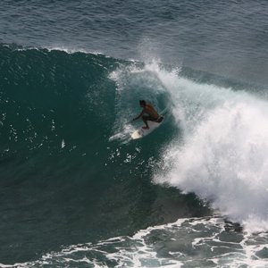 30_surfer4