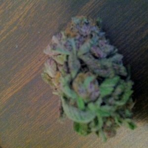 strawberry_cough