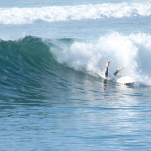 Surf_Flop