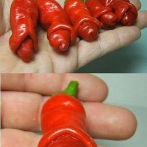 Willy Peppers