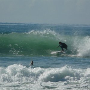 lucy_surfing