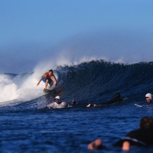 Surfdog Tavarua 95