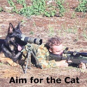 Aim_for_the_Cat