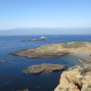 Point_Lobos1