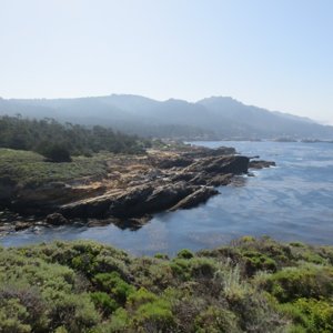 Point_Lobos2
