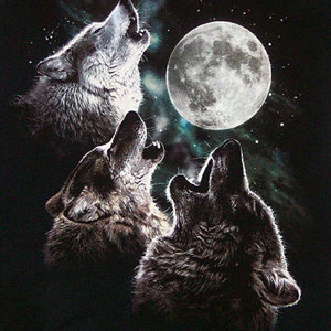 OuterknownWolves