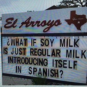 soy_milk