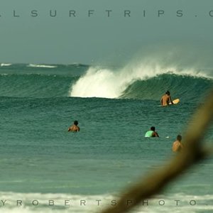 Real Surf Trips Costa Rica