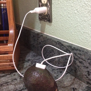 charging_avocado
