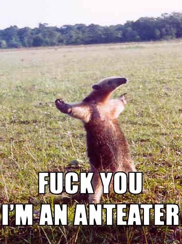 fuck_you_im_an_anteater