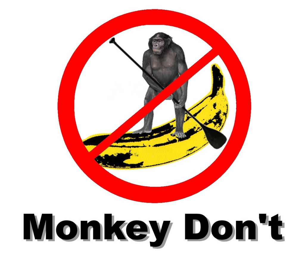 MonkeyD2