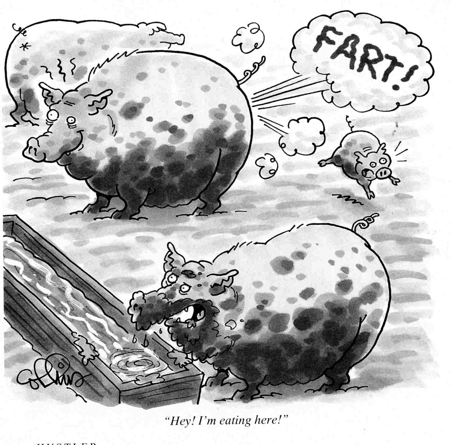 pig-fart-eating1