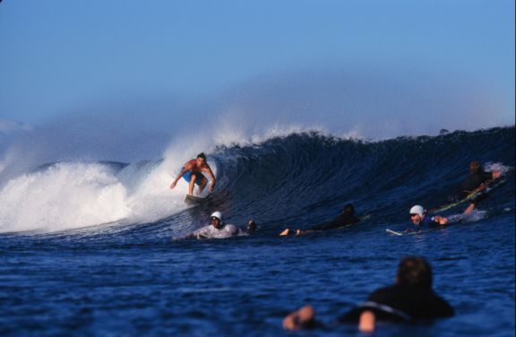Surfdog Tavarua 95