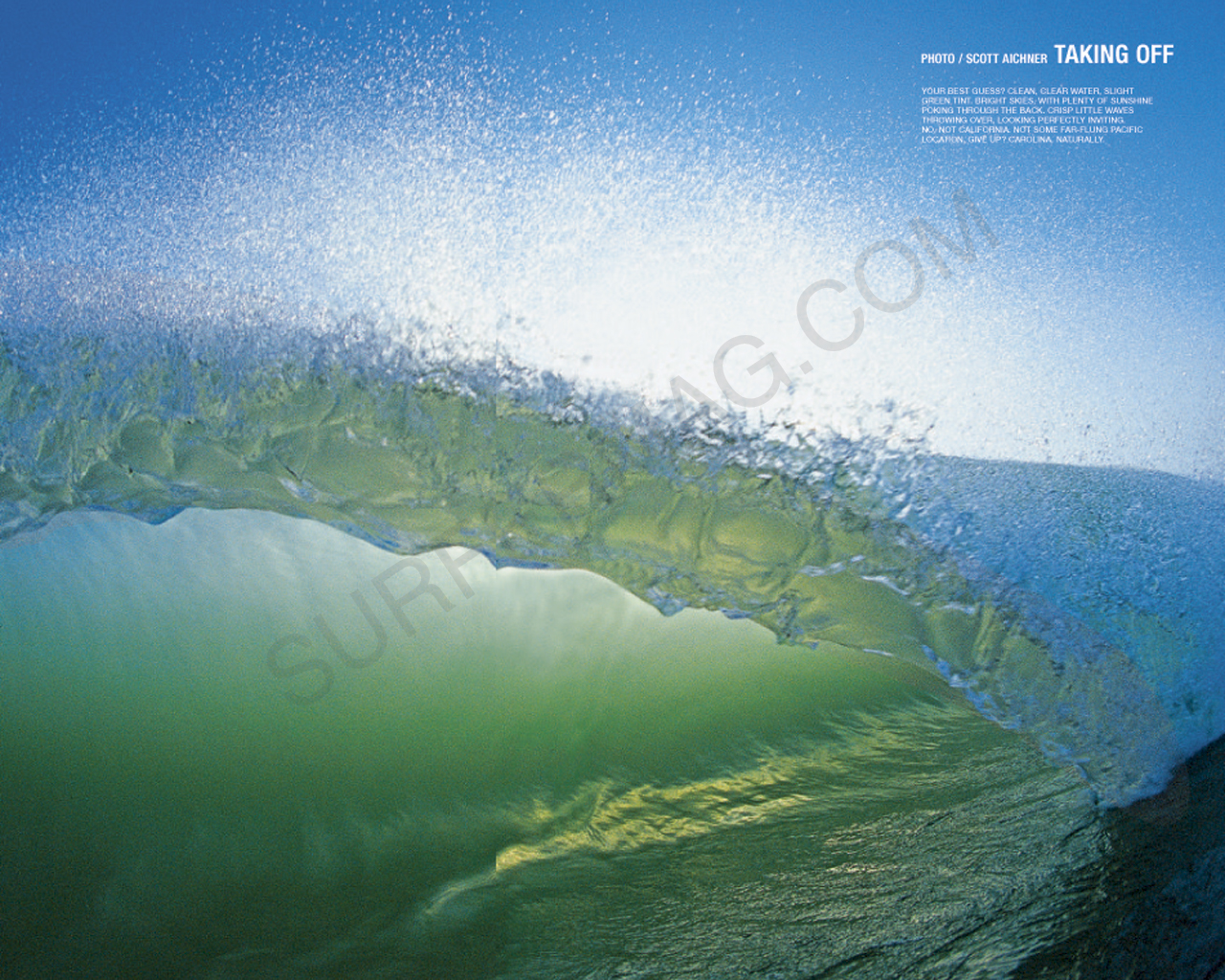 SURFER Wallpaper March 2007